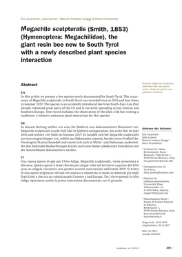 Megachile Sculpturalis (Smith, 1853) (Hymenoptera: Megachilidae), the Giant Resin Bee New to South Tyrol with a Newly Described Plant Species Interaction