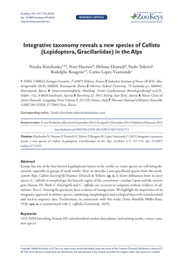﻿Integrative Taxonomy Reveals a New Species of Callisto (Lepidoptera