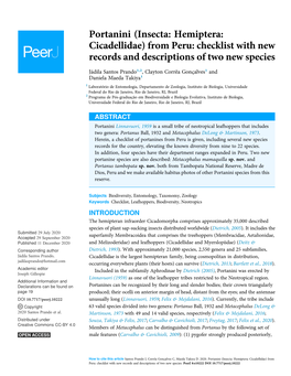 Insecta: Hemiptera: Cicadellidae) from Peru: Checklist with New Records and Descriptions of Two New Species