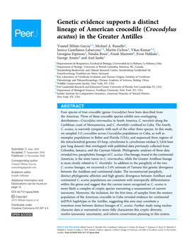 Crocodylus Acutus) in the Greater Antilles