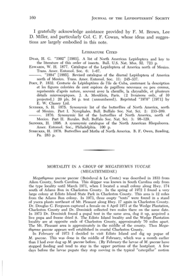 Mortality in a Group of Megathymus Yuccae (Megathymidae)