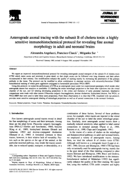 Anterograde Axonal Tracing with the Subunit B of Cholera Toxin