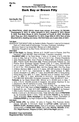 4 Hartley/De Renzo Thoroughbreds, Agent Dark Bay Or Brown Filly