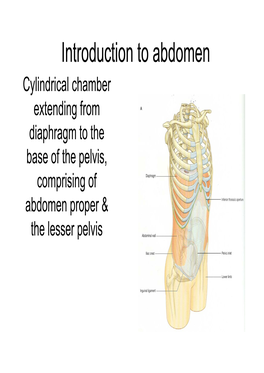 Introduction to Abdoman