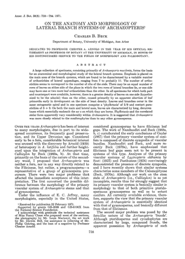 On the Anatomy and Morphology of Lateral Branch Systems of Archaeopteris