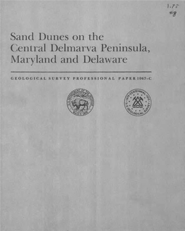 Sand Dunes of the Central Delmarva Peninsula, Maryland and Delaware