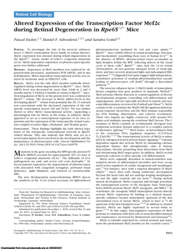 Altered Expression of the Transcription Factor Mef2c During Retinal Degeneration in Rpe65–/– Mice