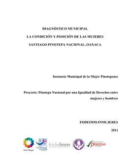 Diagnóstico Municipal La Condición Y Posición De Las