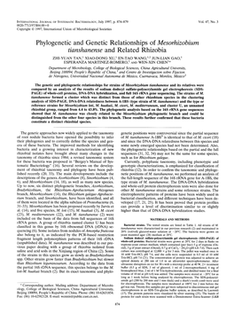 Phylogenetic and Genetic Relationships of Mesorhizobium