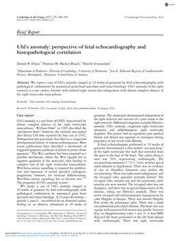Brief Report Uhl's Anomaly: Perspective of Fetal Echocardiography and Histopathological Correlation