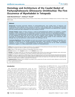 Homology and Architecture of the Caudal Basket of Pachycephalosauria (Dinosauria: Ornithischia): the First Occurrence of Myorhabdoi in Tetrapoda