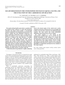 Escape Behaviour of Squilla Mantis