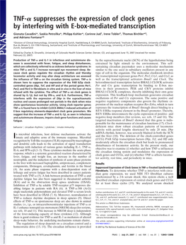 Suppresses the Expression of Clock Genes by Interfering with E-Box-Mediated Transcription