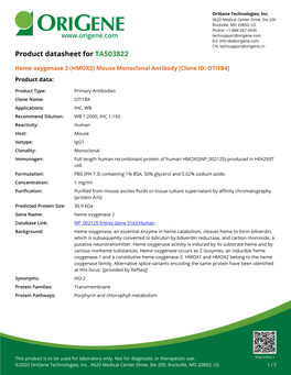 (HMOX2) Mouse Monoclonal Antibody [Clone ID: OTI1B4] Product Data