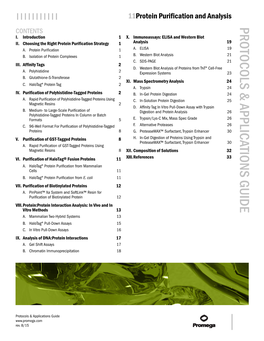 Protein Purification and Analysis Protocols and Applications Guide