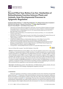 Similarities of Retinoblastoma Function Between Plants and Animals, from Developmental Processes to Epigenetic Regulation