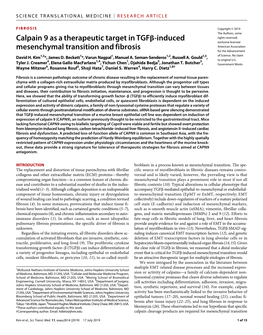 Calpain 9 As a Therapeutic Target in TGF -Induced Mesenchymal Transition and Fibrosis