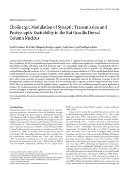 Cholinergic Modulation of Synaptic Transmission and Postsynaptic Excitability in the Rat Gracilis Dorsal Column Nucleus