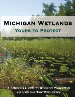 Michigan Wetlands – Yours to Protect