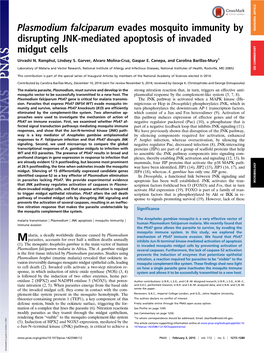 Plasmodium Falciparum Evades Mosquito Immunity by Disrupting