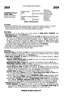 From Ringfort Stud (Agent) Soviet Star Nureyev Veruschka Starborough (GB) Flamenco Wave Desert Wine Armada Way Kalaglow Kalamoun