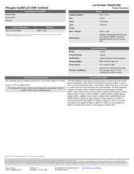 Phospho-Ephb3 Ptyr608 Antibody