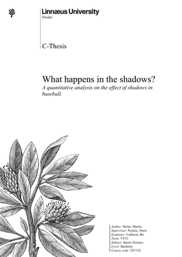 What Happens in the Shadows? a Quantitative Analysis on the Effect of Shadows in Baseball