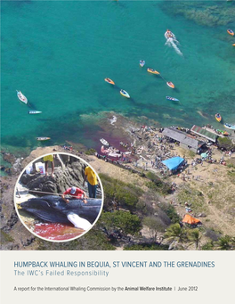 Report on Whaling in St. Vincent and the Grenadines