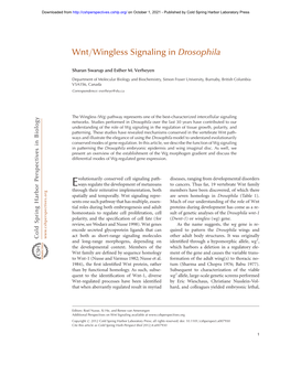 Wnt/Wingless Signaling in Drosophila