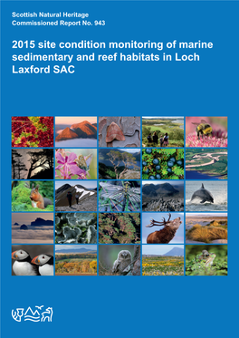 2015 Site Condition Monitoring of Marine Sedimentary and Reef Habitats in Loch Laxford SAC