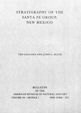 Stratigraphy of the Santa Fe Group, New Mexico