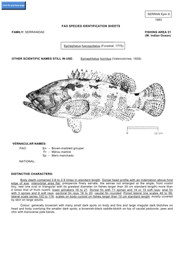 SERRAN Epin 9 1983 FAO SPECIES IDENTIFICATION SHEETS FAMILY