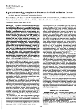 Lipid Advanced Glycosylation: Pathway for Lipid Oxidation in Vivo