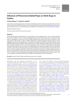 Influence of Pheromone-Baited Traps on Stink Bugs in Cotton