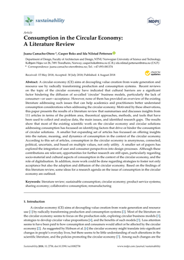 Consumption in the Circular Economy: a Literature Review