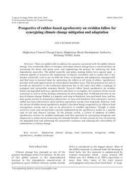 Prospective of Rubber-Based Agroforestry on Swidden Fallow for Synergizing Climate Change Mitigation and Adaptation