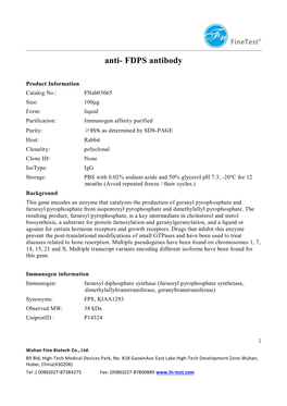 Anti- FDPS Antibody