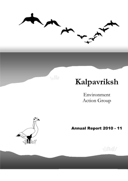 Annual Report 2010-2011