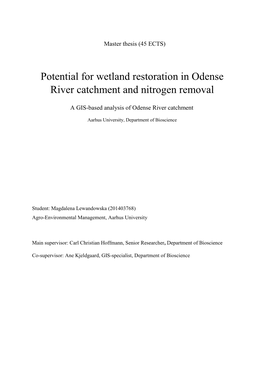 Potential for Wetland Restoration in Odense River Catchment and Nitrogen Removal