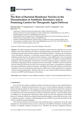 The Role of Bacterial Membrane Vesicles in the Dissemination of Antibiotic Resistance and As Promising Carriers for Therapeutic Agent Delivery