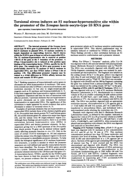 Torsional Stress Induces an S1 Nuclease-Hypersensitive Site Within