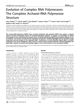 The Complete Archaeal RNA Polymerase Structure