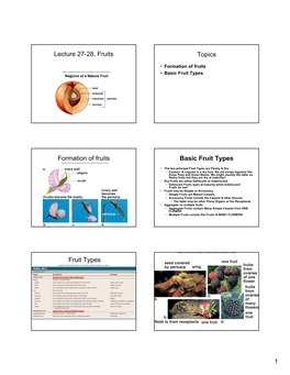 Lecture 27-28. Fruits Topics Formation of Fruits Basic Fruit Types Fruit Types