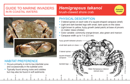 Hemigrapsus Takanoi Potential in RI COASTAL WATERS Brush-Clawed Shore Crab Invader