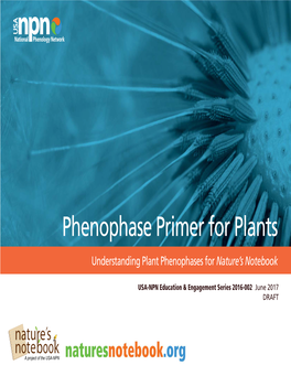 USA-NPN Phenophase Primer for Plants