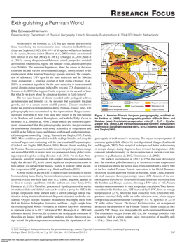 Extinguishing a Permian World