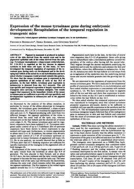 Expression of the Mouse Tyrosinase Gene During Embryonic Development