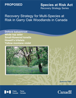 Recovery Strategy for Multi-Species at Risk in Garry Oak Woodlands in Canada