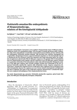 Perkinsiella Amoebae-Like Endosymbionts of Neoparamoeba Spp., Relatives of the Kinetoplastid Ichthyobodo