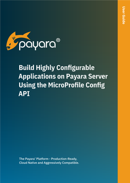 Microprofile Config Guide.Pdf